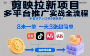 剪映拉新项目多平台推广实战全流程(抖音快手小红书今日头条)，8米一单，一天3张超简单-柯南聊项目