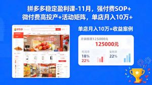 拼多多稳定盈利课-11月，强付费SOP+微付费高投产+活动矩阵，单店月入10w+-柯南聊项目