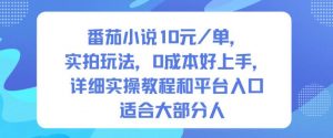 番茄小说10米每单，实拍玩法，0成本好上手，详细实操教程和平台入口适合大部分人-柯南聊项目