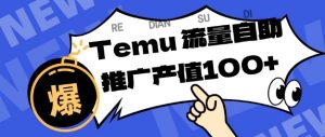 专注于Temu商家提供精准曝光浏览量，助力店铺排名提升和转化，单机日收入80-130【揭秘】-柯南聊项目