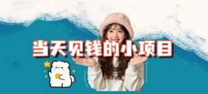 当天能收益的3个小项目拆解_包括平台+操作流程-柯南聊项目