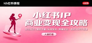小红书IP商业变现全攻略：定位跃迁+爆款流量+私域裂变+直播转化，高利润闭环搭建-柯南聊项目