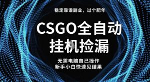 【稳定副业】全球最热门游戏CSGO全自动捡漏，最新玩法，新手小白日入5张+【揭秘】-柯南聊项目