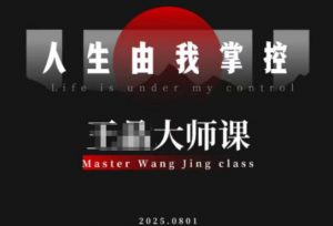 流量破局-人生由我掌控，从素人快速进阶，实现流量与商业价值双丰收-柯南聊项目