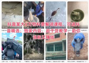 抖音某大V万物科普解说课程，可进抖音精选，独家内容，超干货教学，助你涨粉又賺钱-柯南聊项目