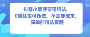 抖音小程序变现玩法，0粉丝也可以做，不需要成本，简单的玩法教程-柯南聊项目