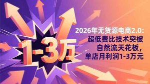 2026年无货源电商2.0【更新】：超低费比技术突破自然流天花板，单店月利润1-3万元-柯南聊项目