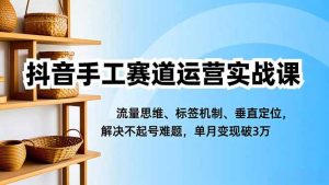 抖音手工赛道运营实战课，流量思维、标签机制、垂直定位，解决不起号难题，单月变现破3万-柯南聊项目
