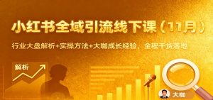 小红书全域引流线下课(11月)：行业大盘解析+实操方法+大咖成长经验，全程干货落地-柯南聊项目