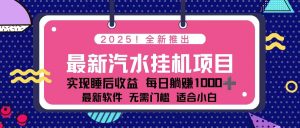 2025最新汽水音乐挂机项目 每天几分钟 轻松上w-柯南聊项目