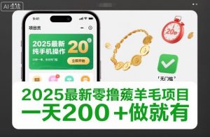 2025最新零撸薅羊毛项目，纯手机操作，20秒一单，无任何门槛，一天200+做就有【揭秘】-柯南聊项目
