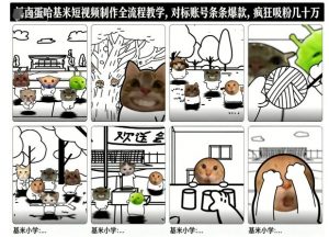 卤蛋哈基米短视频制作全流程教学，条条爆款，疯狂吸粉几十万-柯南聊项目
