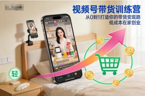 视频号带货训练营，从0到1打造你的带货变现路，低成本在家创业-柯南聊项目