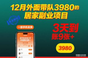 12月外面带队3980的居家副业项目,一部手机实测3天到账9张+,首发教程【揭秘】-柯南聊项目