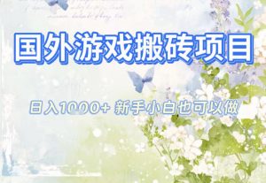 国外游戏全自动搬砖项目，日入10张，新手小白也可做，项目红利期，先搞先吃肉【揭秘】-柯南聊项目