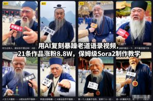 用AI复刻暴躁老道语录视频,21条作品涨粉8.8W,保姆级Sora2制作教学-柯南聊项目