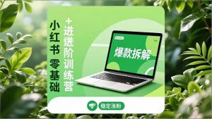 小红书零基础+高阶训练营：安全养号、爆款拆解、长效运营，实现稳定涨粉与变现-柯南聊项目