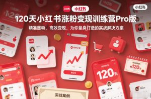 120天小红书涨粉变现训练营Pro版，精准涨粉，高效变现，为你量身打造的实战解决方案-柯南聊项目