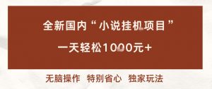 全新国内小说挂G项目，多窗口无脑跑，一天轻松1k+，特别省心【揭秘】-柯南聊项目