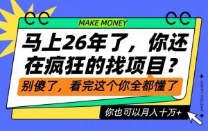 26年了，不要再疯狂的找项目了，看完这个你也可以月入十个W【揭秘】-柯南聊项目
