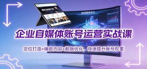 企业自媒体账号运营实战课：定位打造+ 爆款内容+数据优化，快速提升账号权重-柯南聊项目