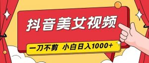 抖音美女视频，一刀不剪，两分钟一条视频，小白轻松上手，日入1000-柯南聊项目