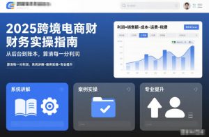 2025跨境电商财务实操指南，从后台到账本，算清每一分利润，系统讲解-案例实操-专业提升-柯南聊项目