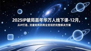 2025IP破局嘉年华万人线下课-12月，从IP打造、流量矩阵到商业变现的完整解决方案-柯南聊项目