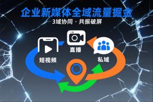 短视频全域商业模式，企业新媒体全域流量掘金，3域协同，共振破屏，短视频-直播-私域-地域-柯南聊项目