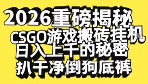 2026开年重磅解密，CSGO游戏搬砖挂G日入1k+的秘密，把倒狗的底裤扒干【揭秘】-柯南聊项目