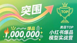 小红书爆品模型实战营,从新品突围到成为类目TOP,可复制路径,打造多个营收百万级爆品-柯南聊项目