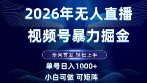 2026最新视频号无人直播掘金，全网首发，小白可以玩，长期稳定日入1k+【揭秘】-柯南聊项目