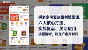 拼多多可复制盈利模型课，六大核心打法、实战复盘、灵活应用，模型清晰，稳定产出高利润-柯南聊项目