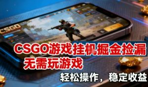 CSGO游戏挂G掘金捡漏，不需要玩游戏，操作简单，收益稳定【揭秘】-柯南聊项目
