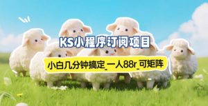 小程序订阅项目_小白几分钟搞定，一人88米，可矩阵(已测到账)-柯南聊项目