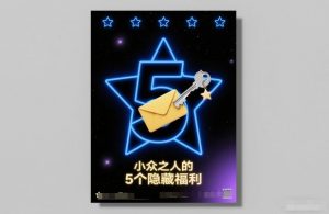 付费文章：小众之人的5个隐藏福利-柯南聊项目