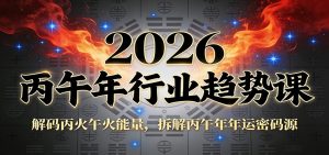 公众号付费文章：2026丙午年行业趋势课：解码丙火午火能量，拆解丙午年年运密码源-柯南聊项目