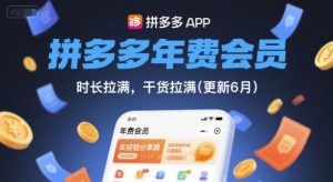 拼多多年费会员,实经验分享操,时长拉满,干货拉满(更新26年1月)-柯南聊项目