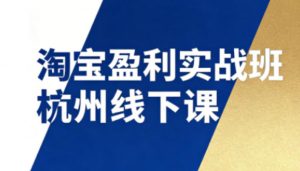 淘宝盈利实战班杭州线下课12月26-28日(音频+字幕)，帮你掌握SOP流程+12门核心技术-柯南聊项目