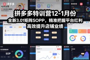 拼多多特训营12-1月份,全新3.01矩阵Sop,精准把握平台红利,高效提升店铺业绩-柯南聊项目