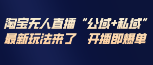 淘宝无人直播最新玩法，包含私域和公域两种玩法-柯南聊项目