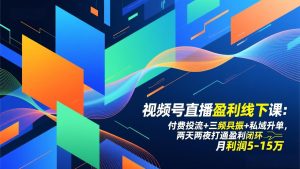 视频号直播盈利线下课：付费投流+三频共振+私域升单，两天两夜打通盈利闭环，月利润5-15万-柯南聊项目