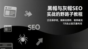 黑帽与灰帽SEO实战的野路子教程：泛目录秒收，蜘蛛池搭桥，霸屏截流，7天抢占首页暴利词-柯南聊项目