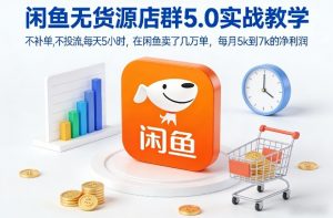 闲鱼无货源店群5.0实战教学，不补单，不投流，每天5小时，在闲鱼卖了几万单，每月5k到7k的净利润-柯南聊项目