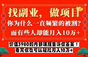 价值3980的网创内部课程，告诉你互联网创业月入10个W的秘密【揭秘】-柯南聊项目