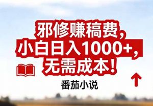 番茄小说赚稿费邪修玩法无需成本，真实日入1000+，超级简单！-柯南聊项目