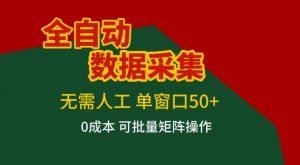 全自动数据采集，无需人工，单窗口50+，0成本可批量矩阵操作【揭秘】-柯南聊项目