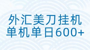 外汇美刀挂机：全自动挂机赚美金，单机600+-柯南聊项目