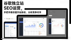 谷歌独立站SEO运营，手把手教你提升网站排名、分析竞争对手(更新2026)-柯南聊项目
