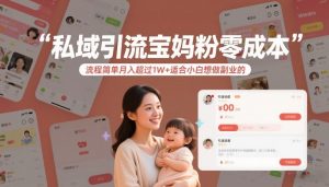 私域引流宝妈粉零成本流程简单月入超过1W+适合小白想做副业的-柯南聊项目